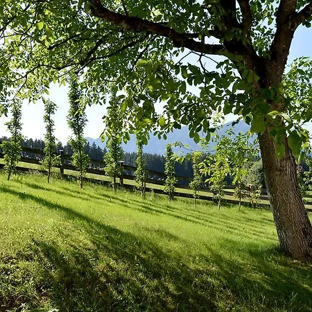 Perle Tirol Apartman Schwoich