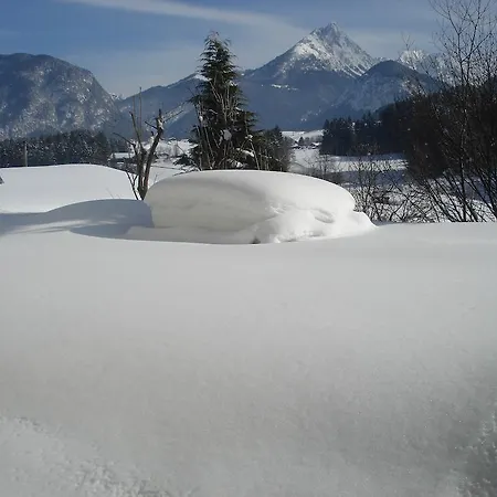 Perle Tirol Apartment *