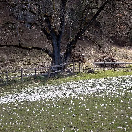 Perle Tirol